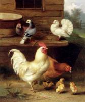 Edgar Hunt - A Cockerel Hen And Chicks With Pigeons